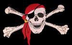 Piraten Fahnen