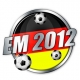 29.02.2012 EM Fahnen Sets fr die Fussball Europameisterschaft 2012