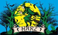 Harz Hexe Fahne / Flagge 90x150 cm Motiv 2
