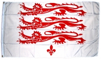 Dorset Fahne / Flagge 90x150 cm