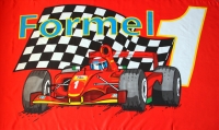 Formel Eins Fan Fahne / Flagge 90x150 cm