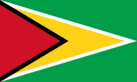 Guyana Fahne / Flagge 90x150 cm