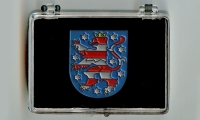 Thüringen Wappen Pin Anstecknadel (Geschenkbox 58x43x18mm)