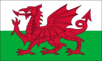 Wales Fahne / Flagge 90x150 cm