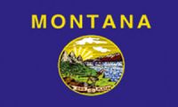 Montana Fahne / Flagge 90x150 cm