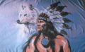 Indianer mit Wolf Fahne / Flagge 90x150 cm