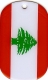 Libanon Dog Tag 3x5 cm (70 cm Kugelkette)