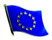 Europäische Union Pin