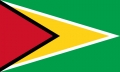 Guyana Fahne / Flagge 90x150 cm