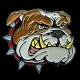 Bulldogge Pin Anstecknadel 25x20 mm