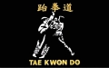 Tae Kwon Do Fahne / Flagge 90x150 cm