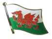 Wales Pin