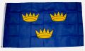 Munster Fahne / Flagge 90x150 cm